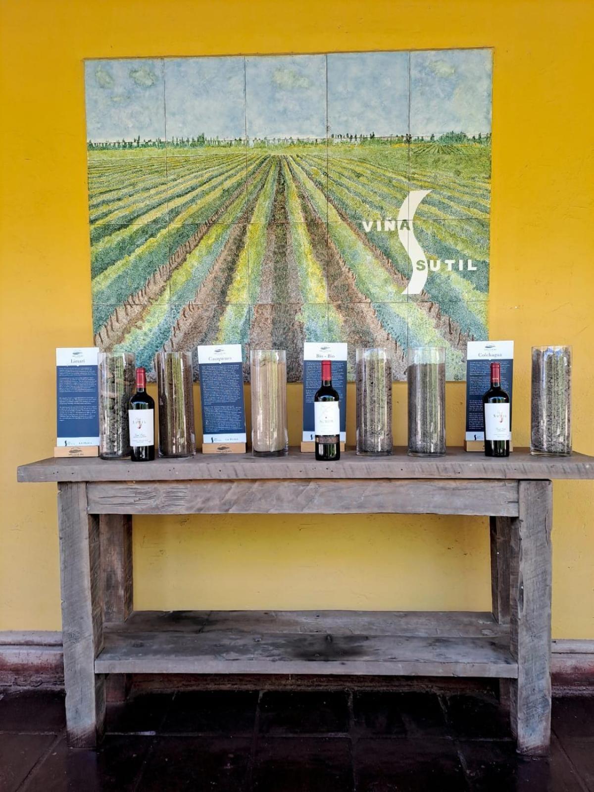 Vina La Playa Hotel & Winery Santa Cruz Dış mekan fotoğraf